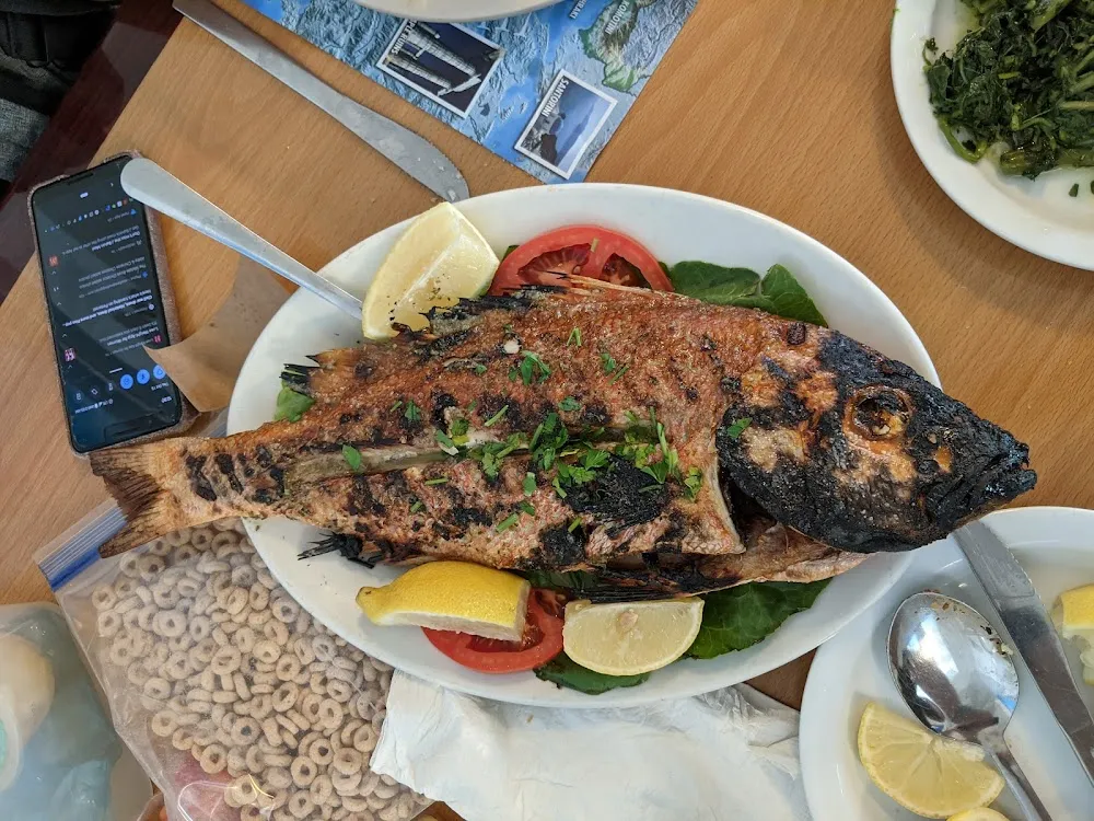 Red Snapper